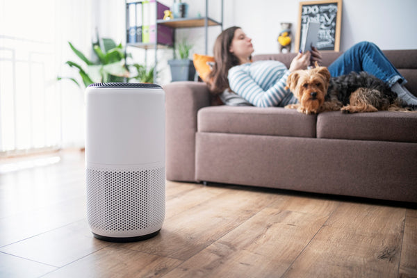 The Top 7 Benefits of Using Air Purifiers in Your Home