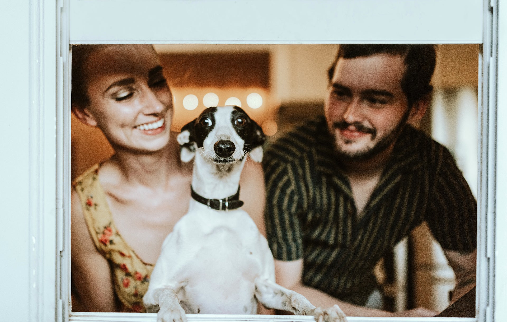 Air Purifier Filters for Pet Owners: What to Consider