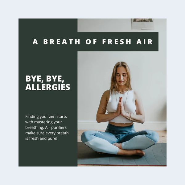 Can Air Purifiers Help Prevent Seasonal Allergies?
