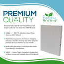 Coway AP-1512HH Filter B Replacement HEPA Filter - Breathe Naturally