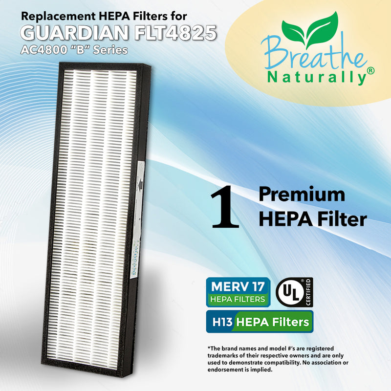 GermGuardian FLT4825 Filter B Replacement HEPA Filters