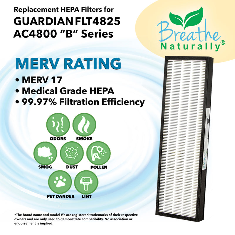 GermGuardian FLT4825 Filter B Replacement HEPA Filters