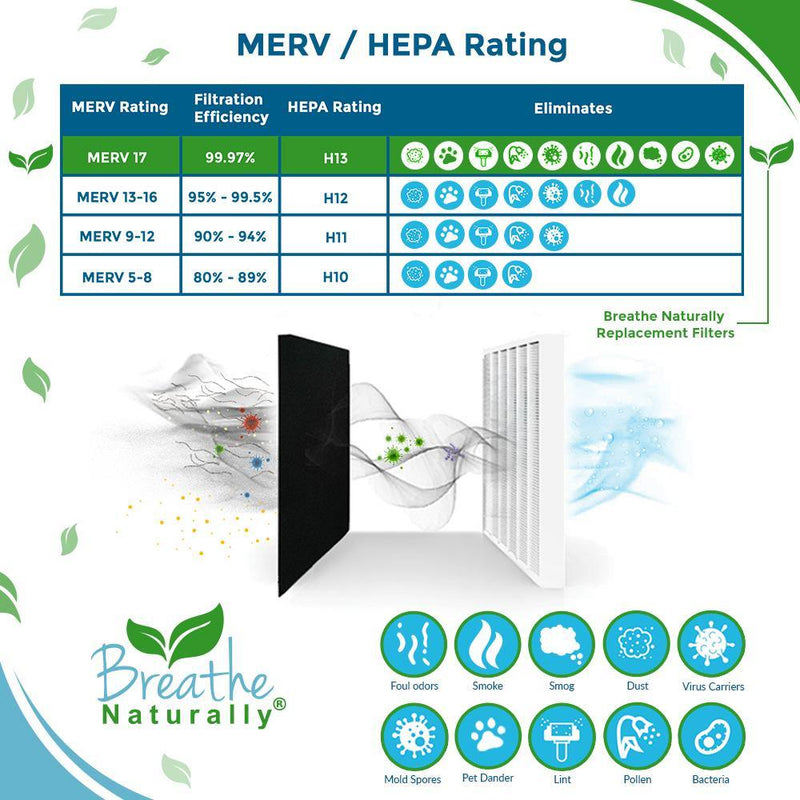 Idylis "F" AC-38 Replacement HEPA + Carbon Pre-Filter Bundle - Breathe Naturally