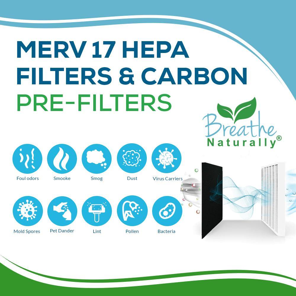 Hamilton Beach True Air 04383 Replacement HEPA + Carbon Pre-Filter Bundle
