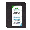 Winix C535, Plasmawave 5300, 6300 and Aeramax 300/290 Replacement Carbon Prefilters